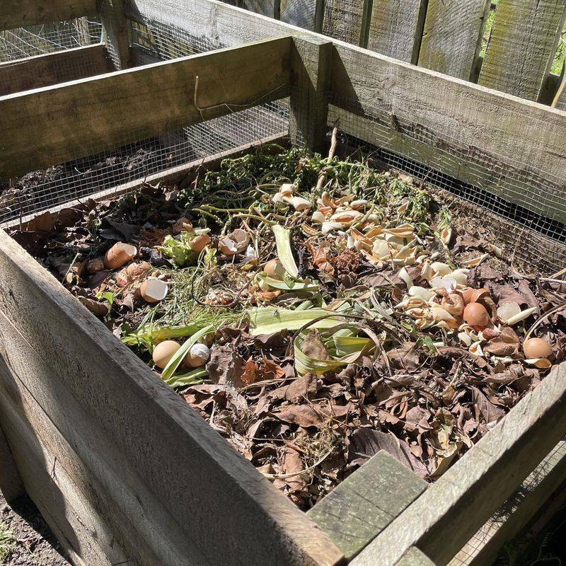 Composting Weeds with Seeds