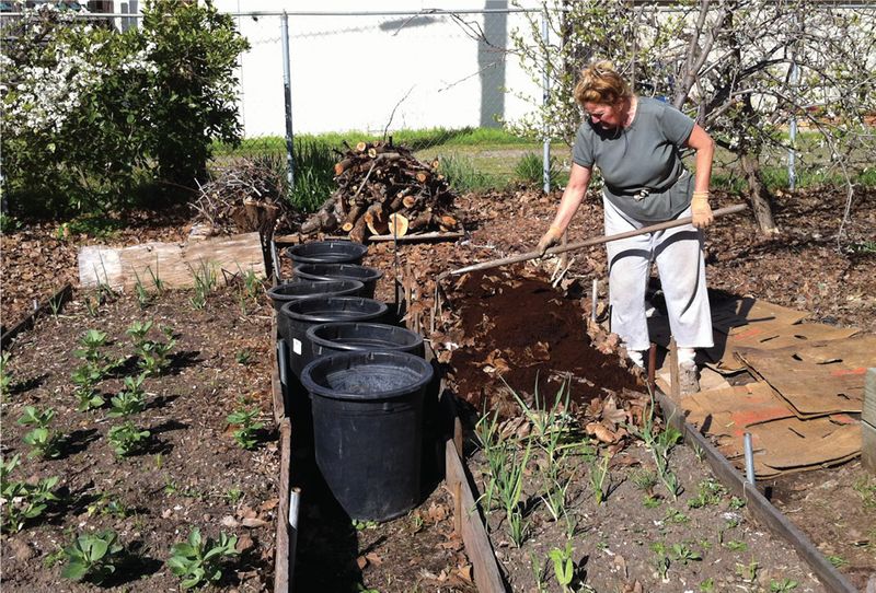 Composting for Moisture Retention