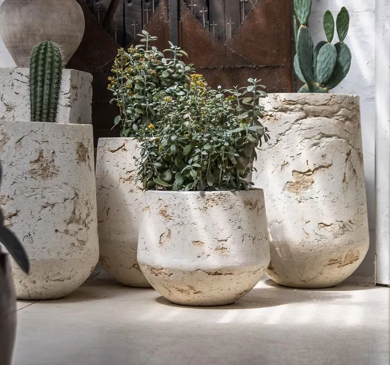 Concrete Planters