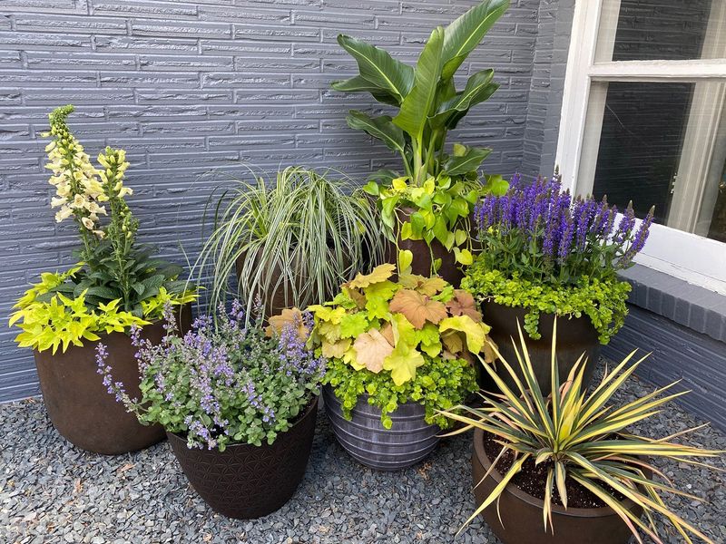 Container Clusters
