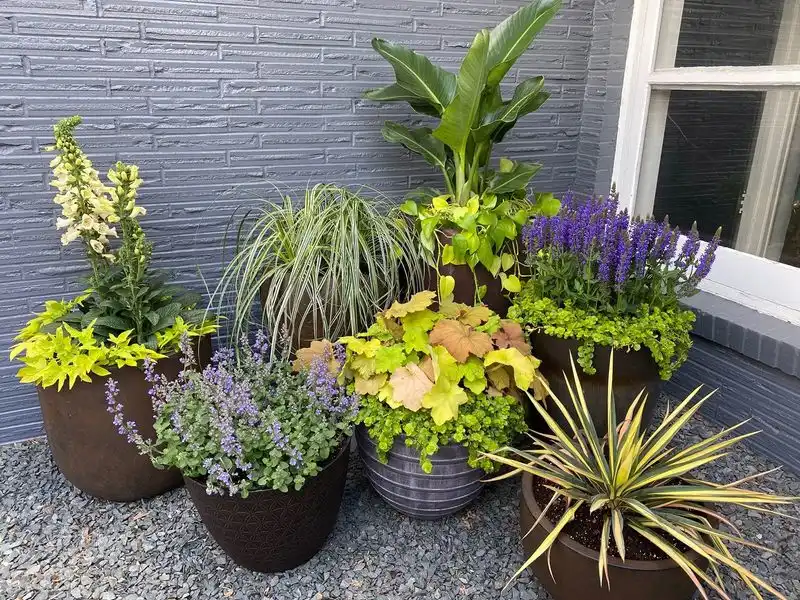 Container Clusters