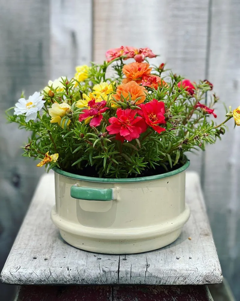 Container Gardening