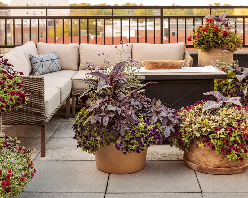 Container Gardens