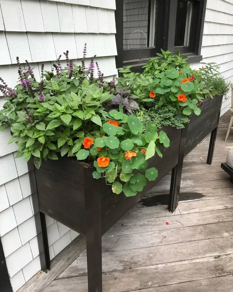 Container Veggie Garden
