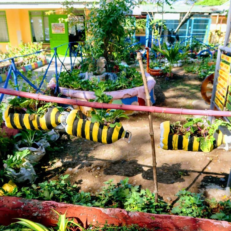 Contribute to a School Garden