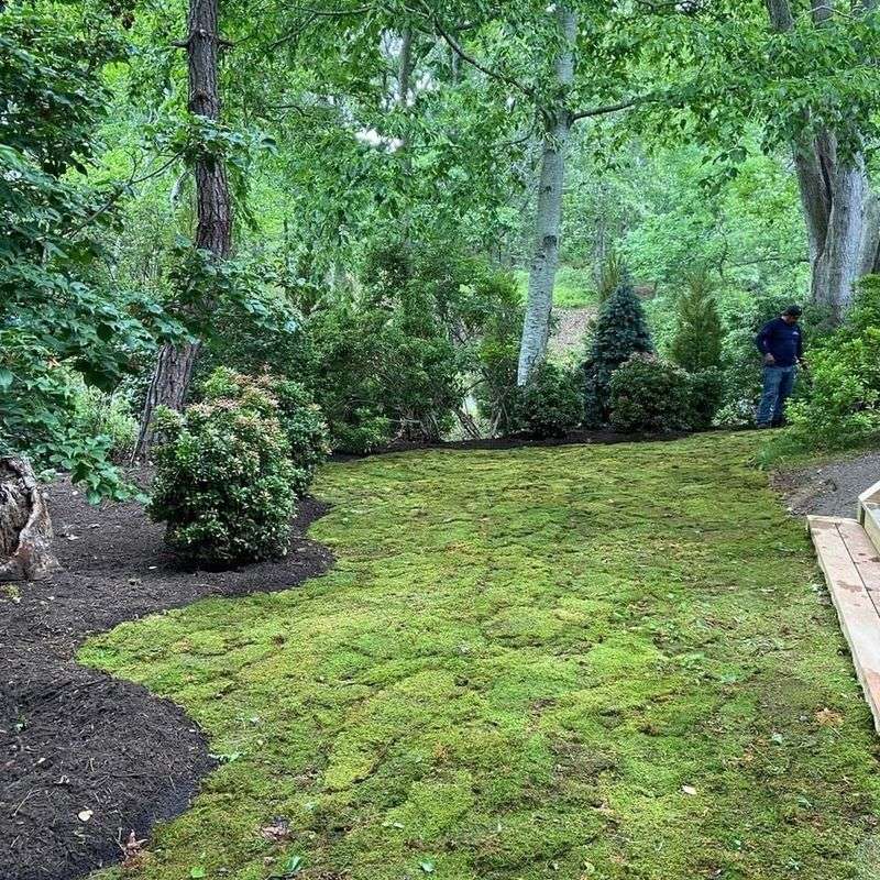 Controlling Weeds and Pests