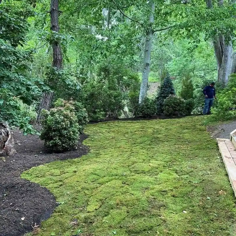 Controlling Weeds and Pests