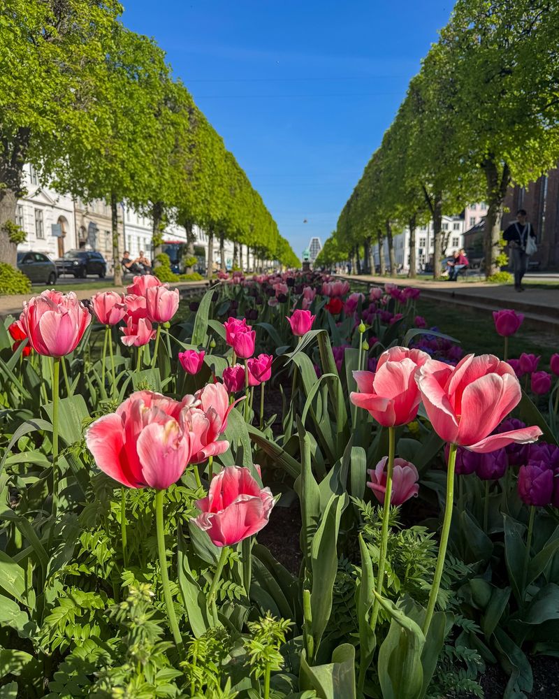 Copenhagen, Denmark