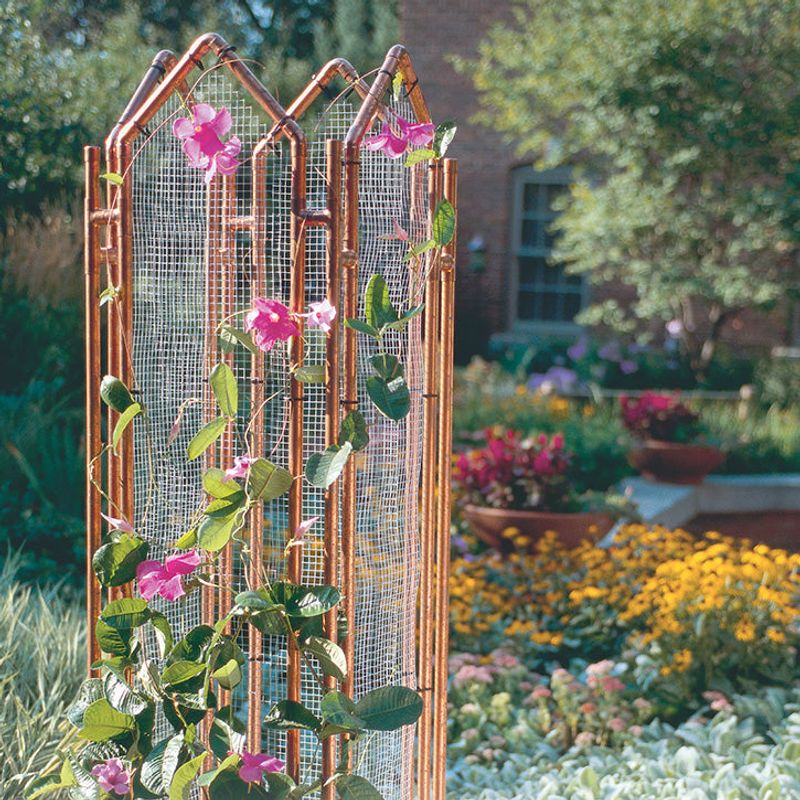 Copper Pipe Trellis