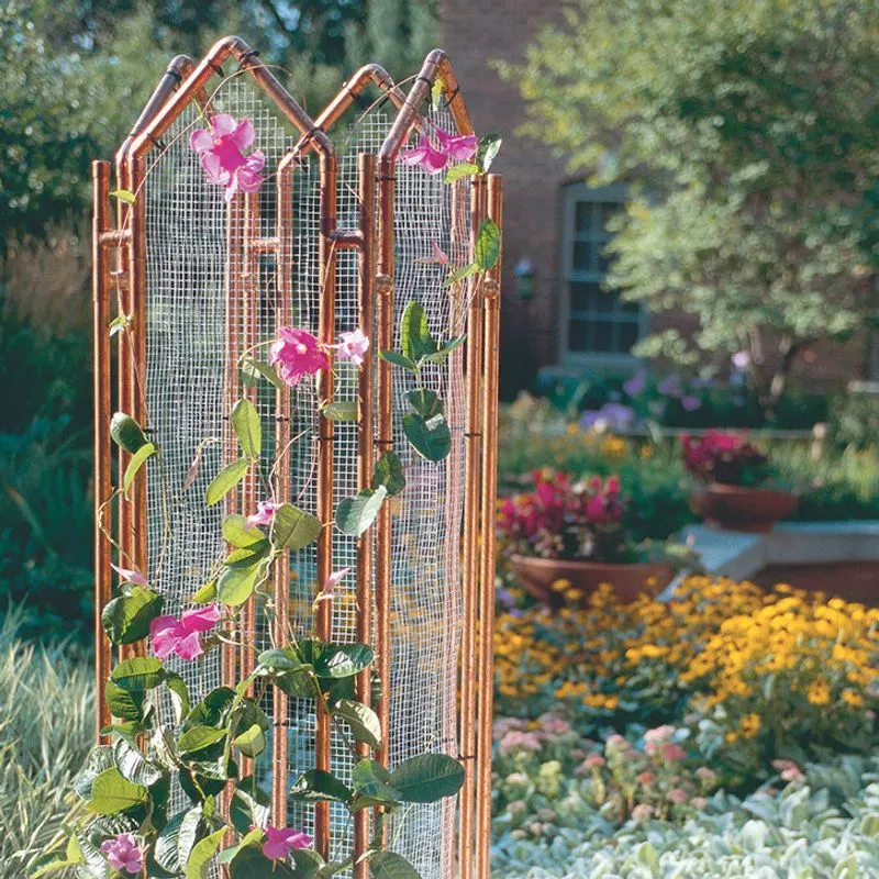 Copper Pipe Trellis