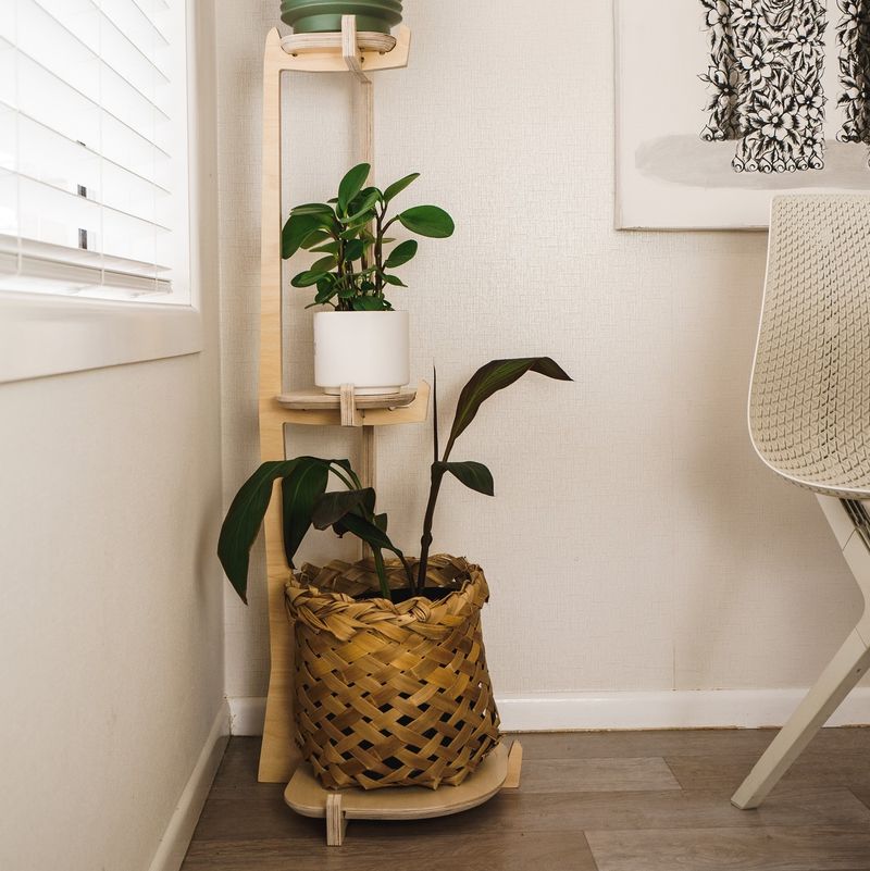 Corner Plant Stands