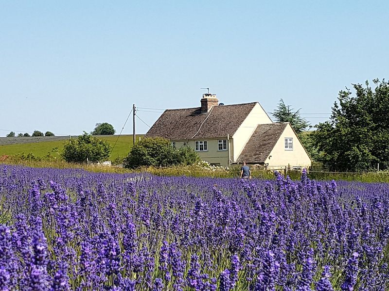 Cotswolds, England