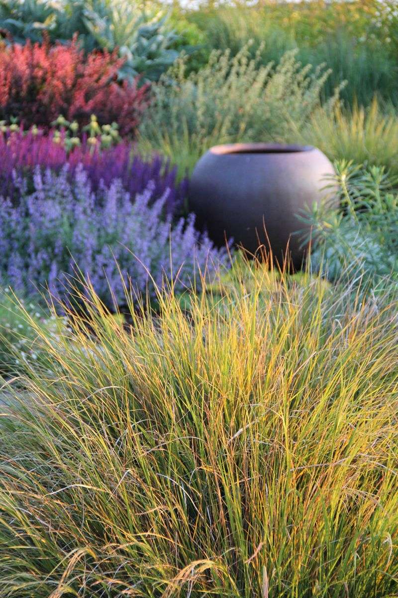 Ornamental Grass Oasis