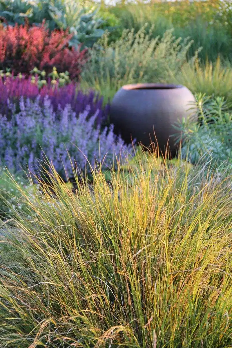 Ornamental Grass Oasis