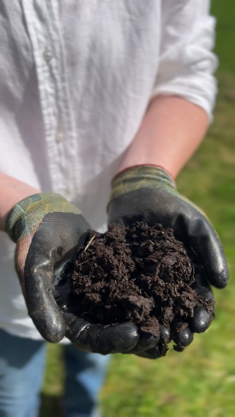 Cow Manure
