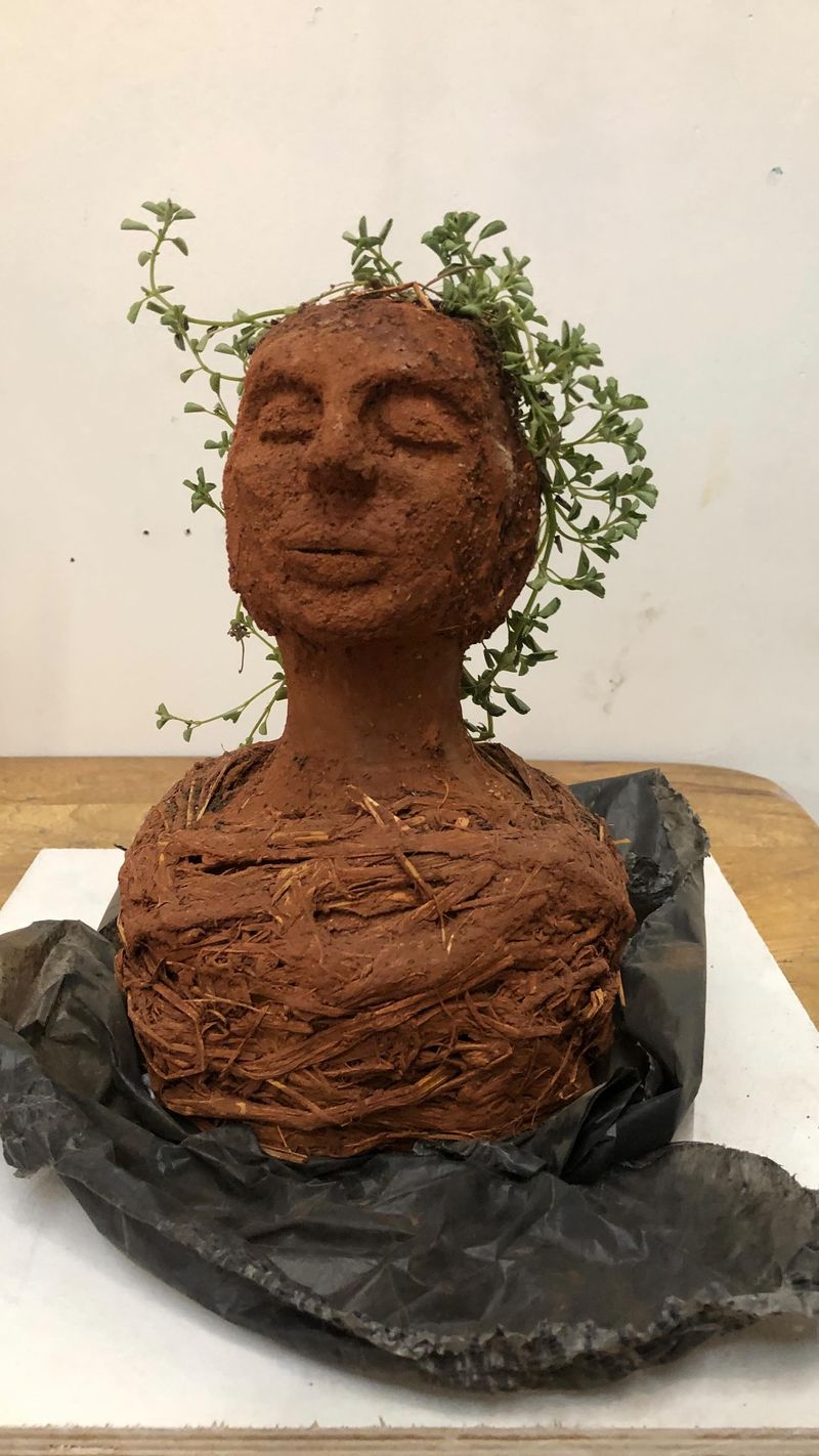 Craft a Soil Sculpture