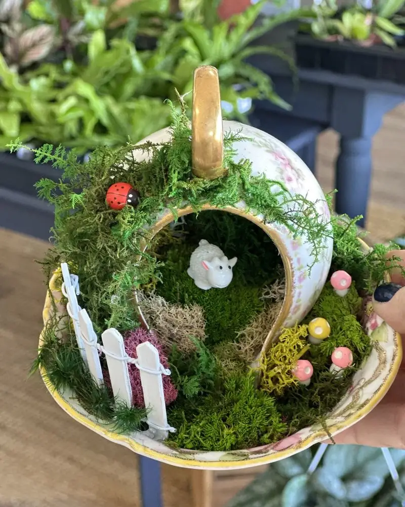 Create a Fairy Garden