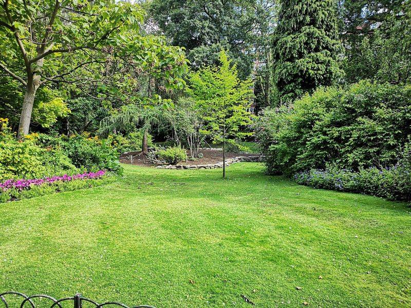 Create a New Lawn Area