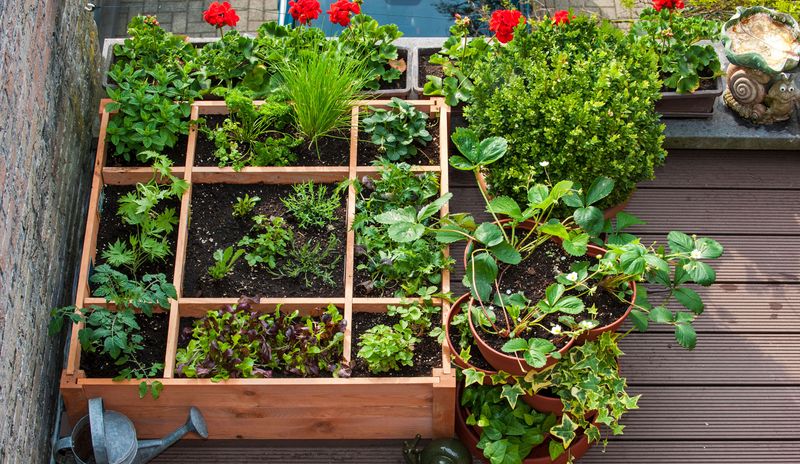 Creating Shelter with Greenery