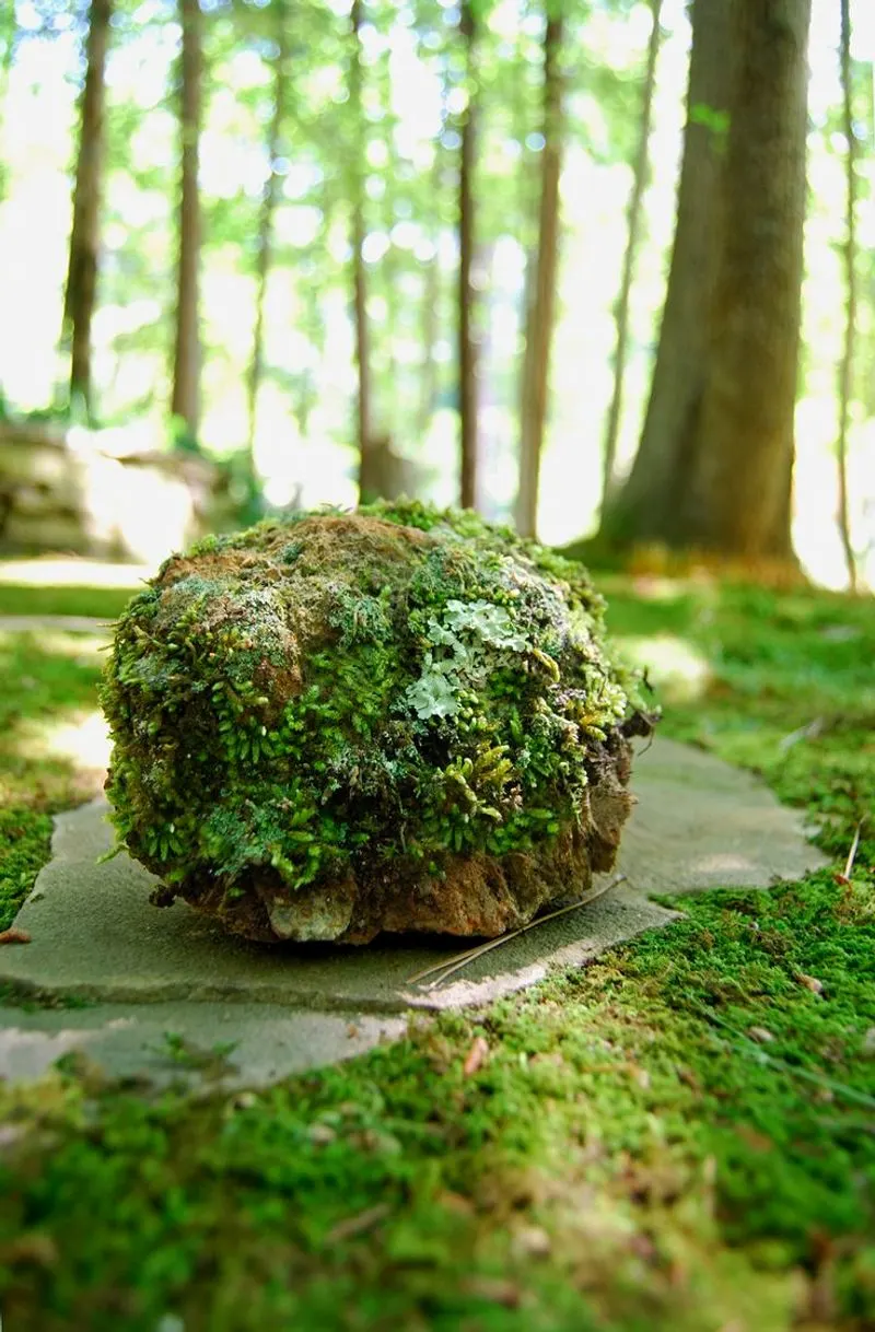 Creating a Moss Slurry