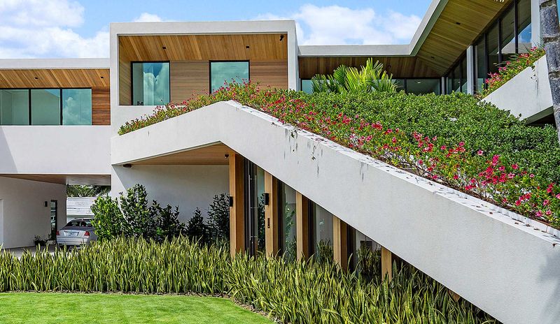 Installing a Green Roof