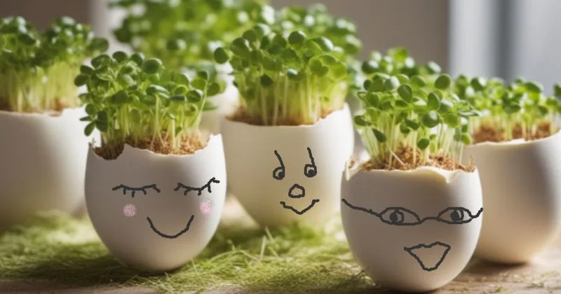 Cress Eggheads Fun