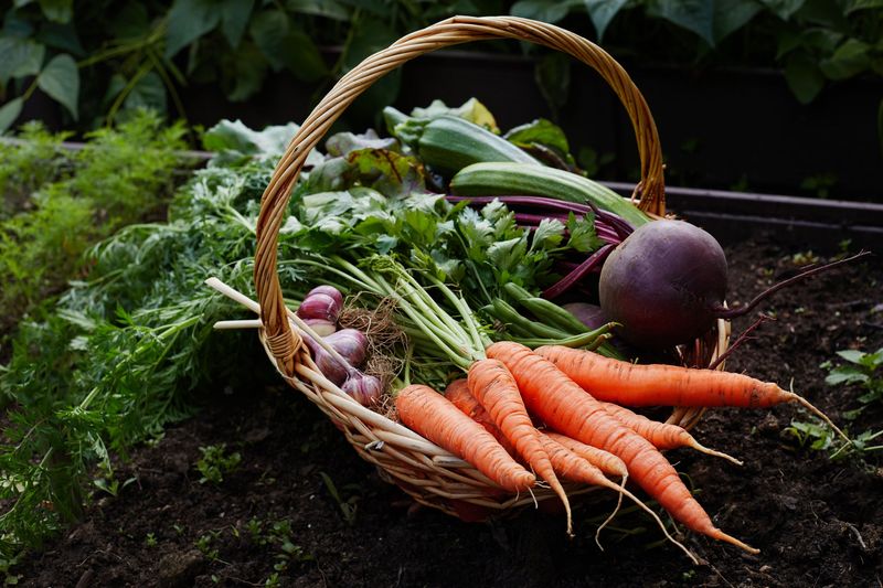 Harvesting Timely