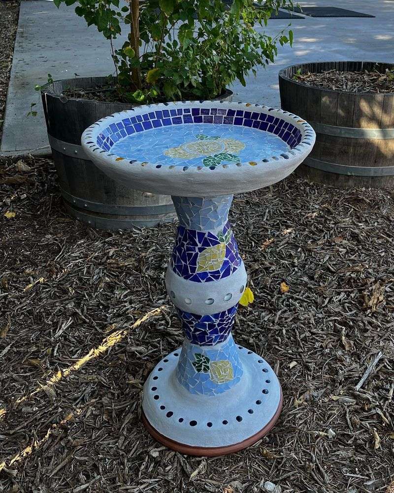 DIY Bird Bath Beauty