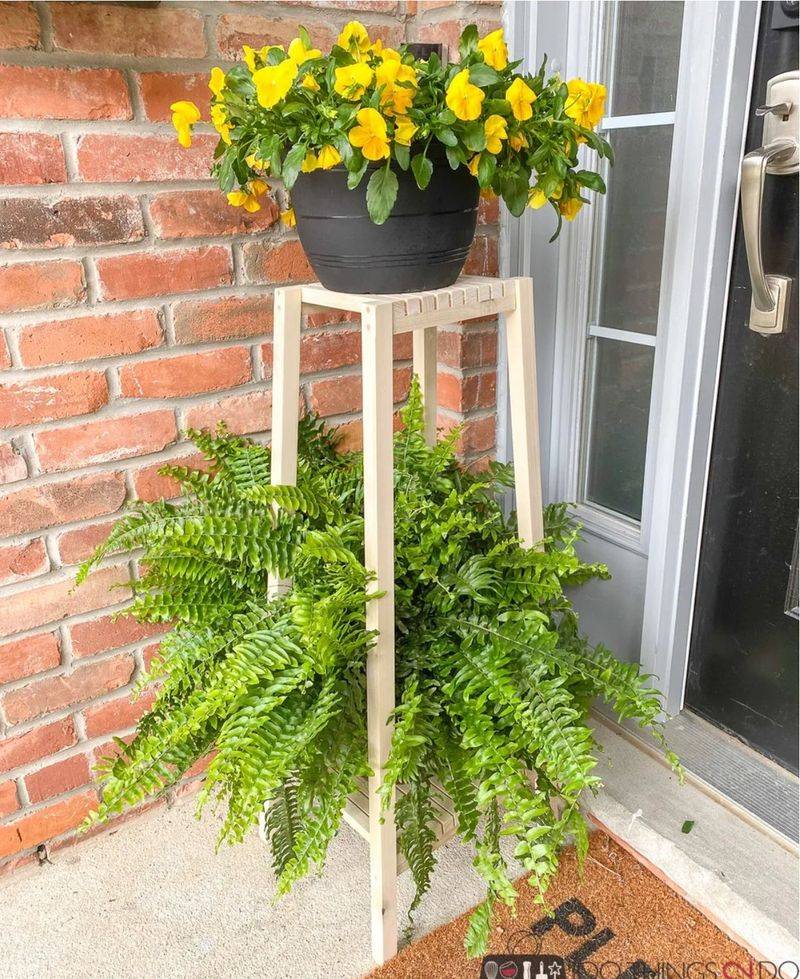 DIY Plant Projects