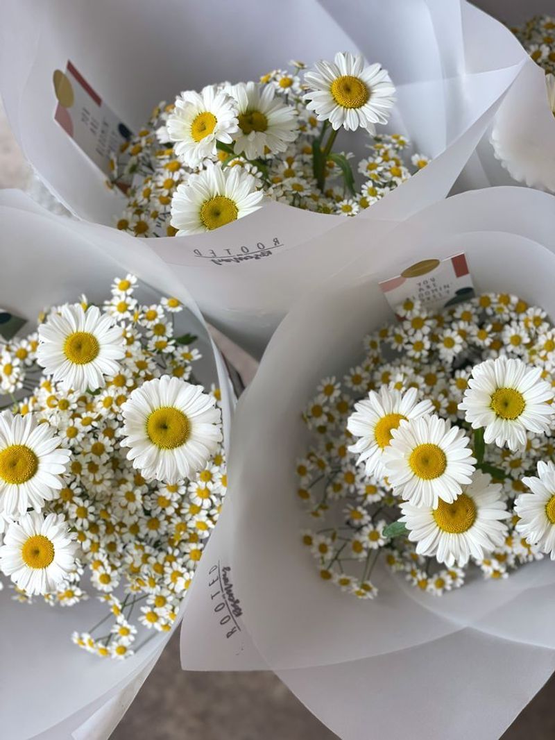 Daisies in Art and Literature