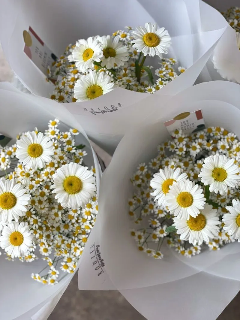 Daisies in Art and Literature