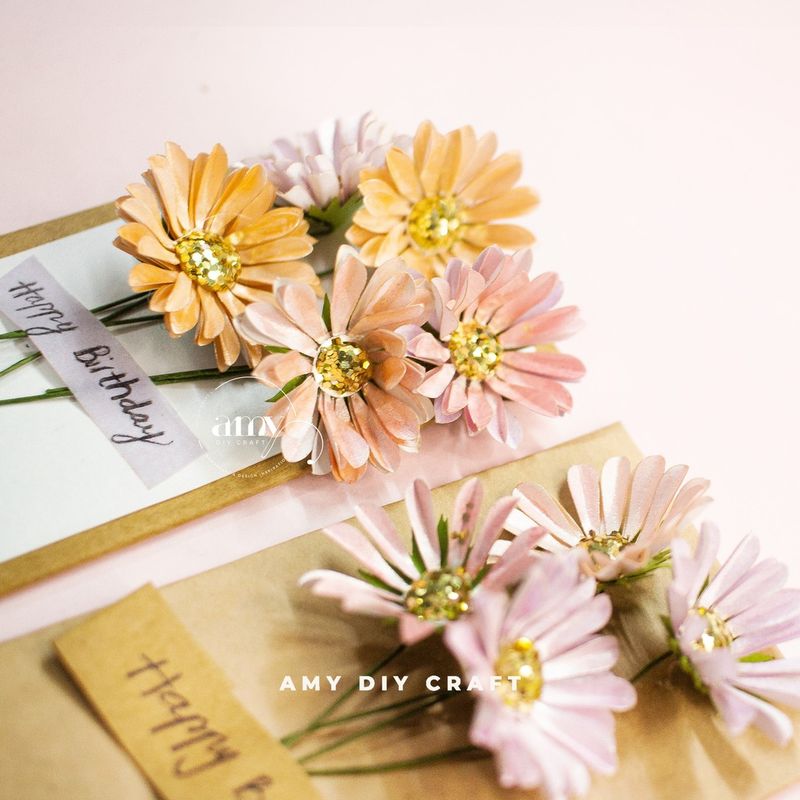 Daisy Dream