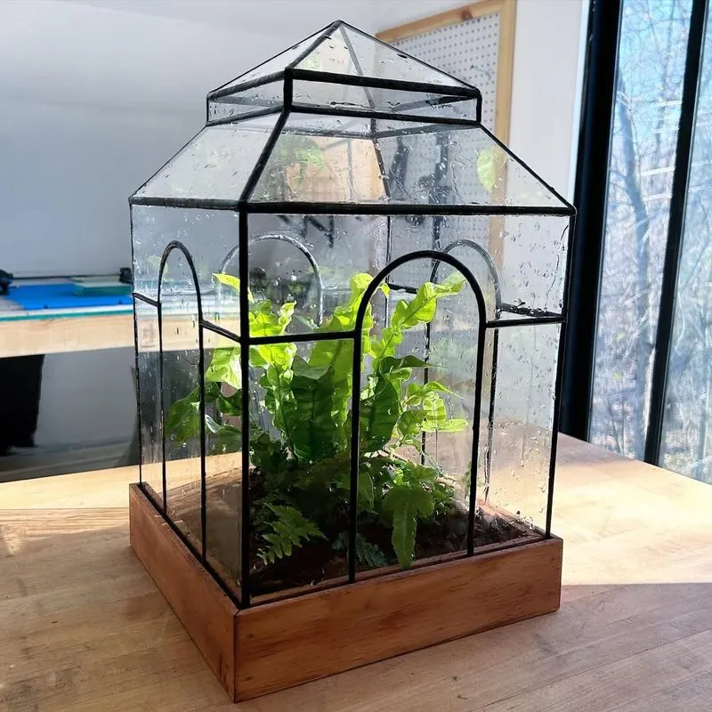 Decorative Glass Terrarium