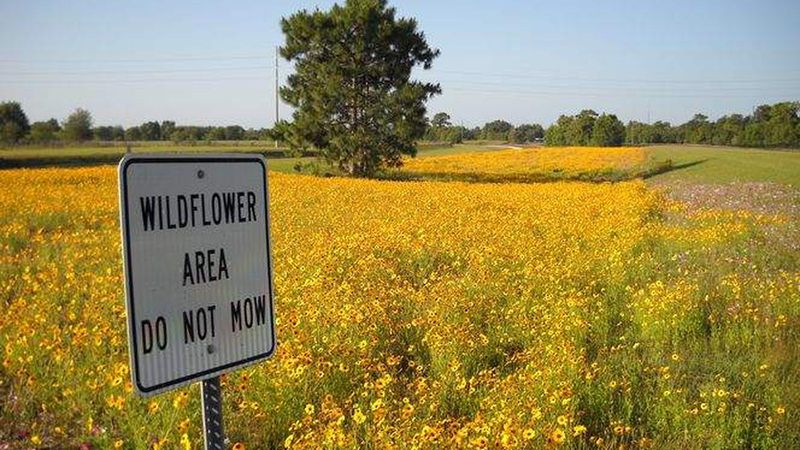 Designate No-Mow Zones