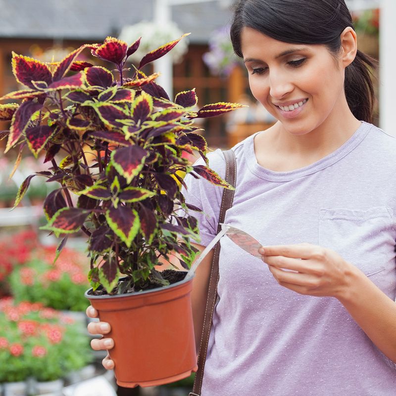 Disregarding Plant Labels