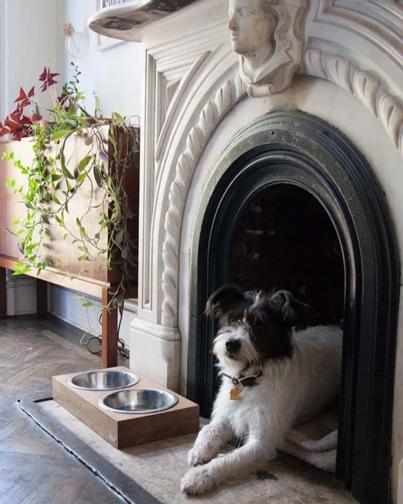 Disused Fireplace