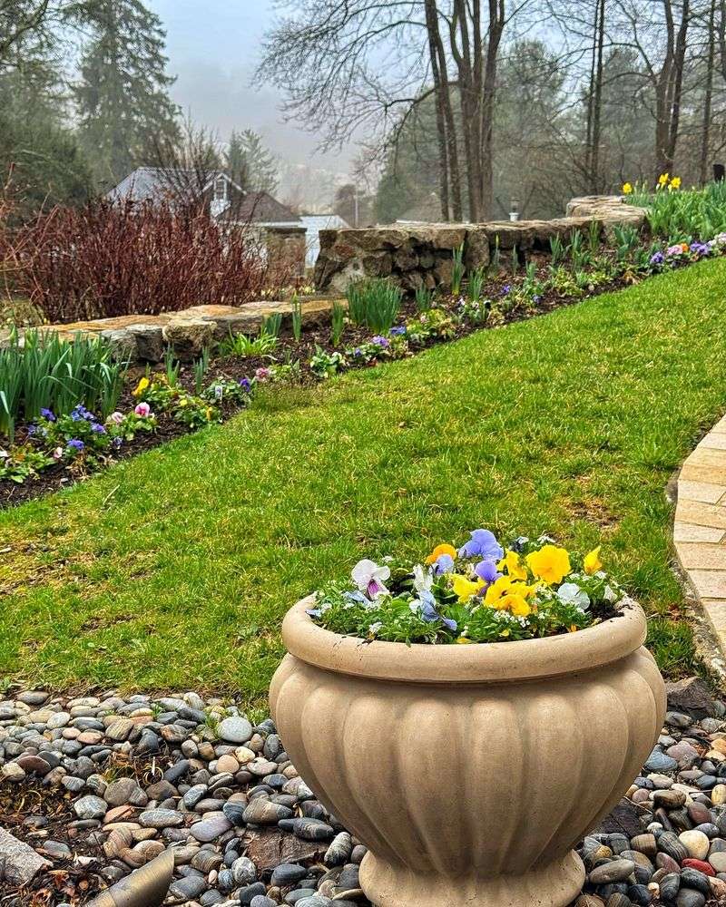 Divide Perennials
