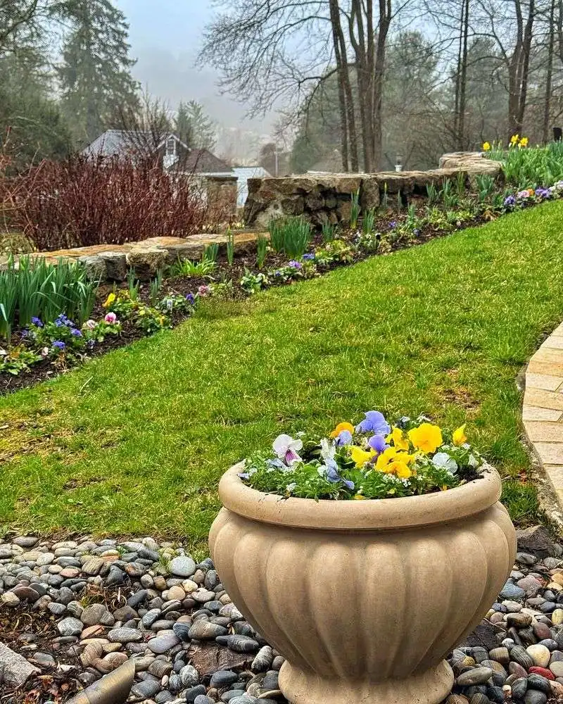 Divide Perennials