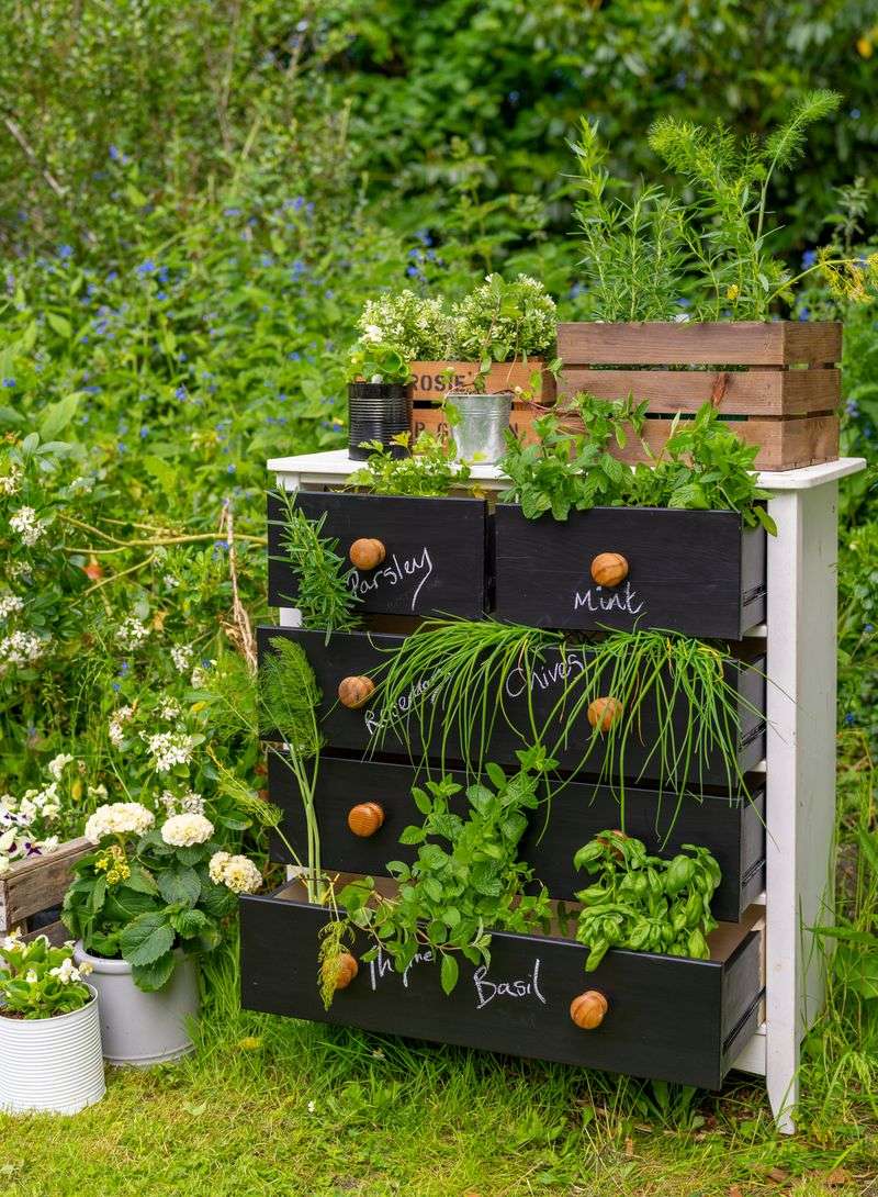 Drawer Herb Garden