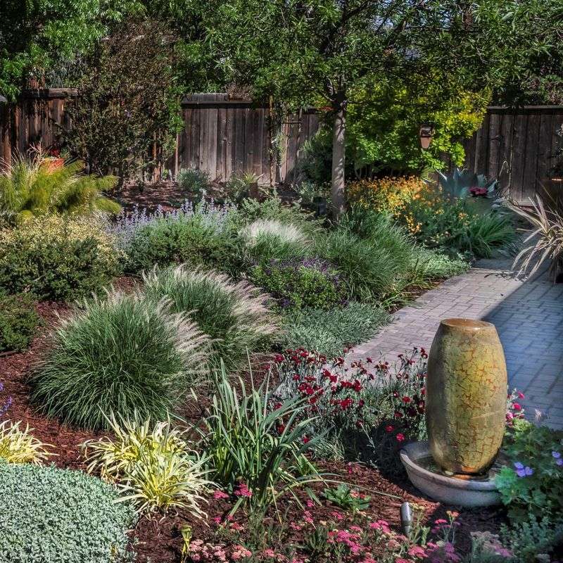 Drought-Resistant Plants