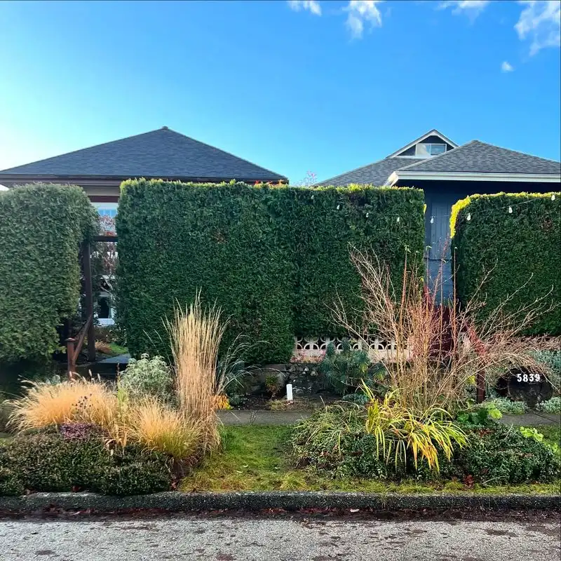 Drought-Tolerant Plants