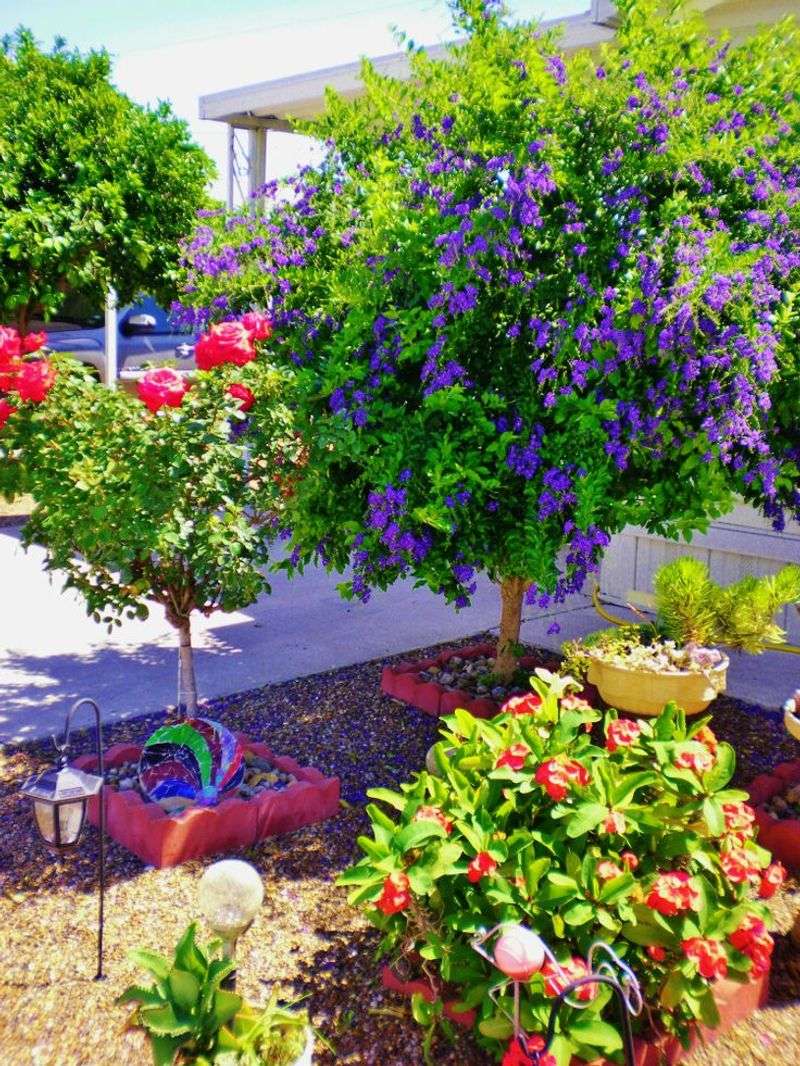 Duranta