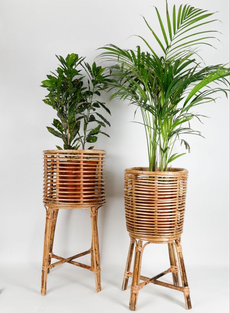 Eco-Friendly Bamboo Planter