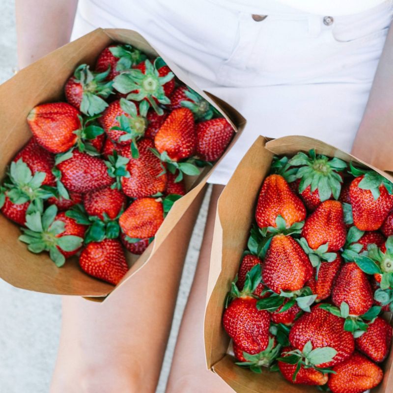 Eco-Friendly Strawberry Packaging