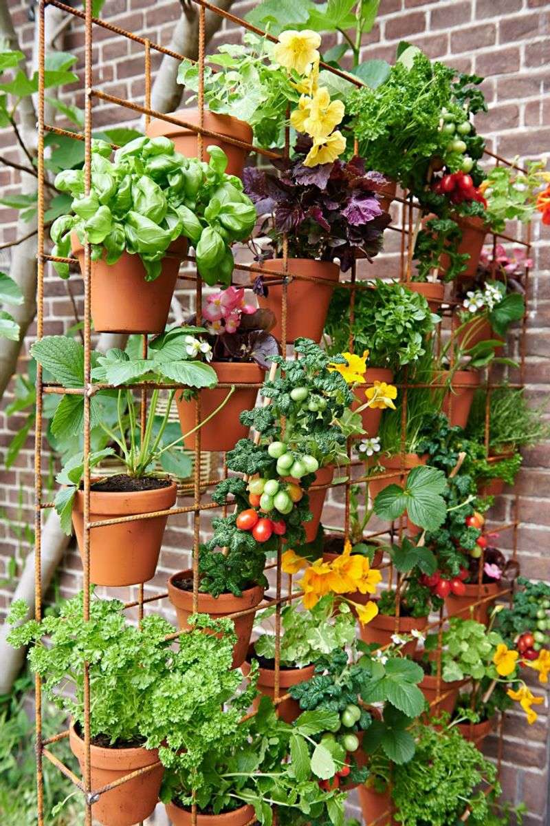 Edible Eden