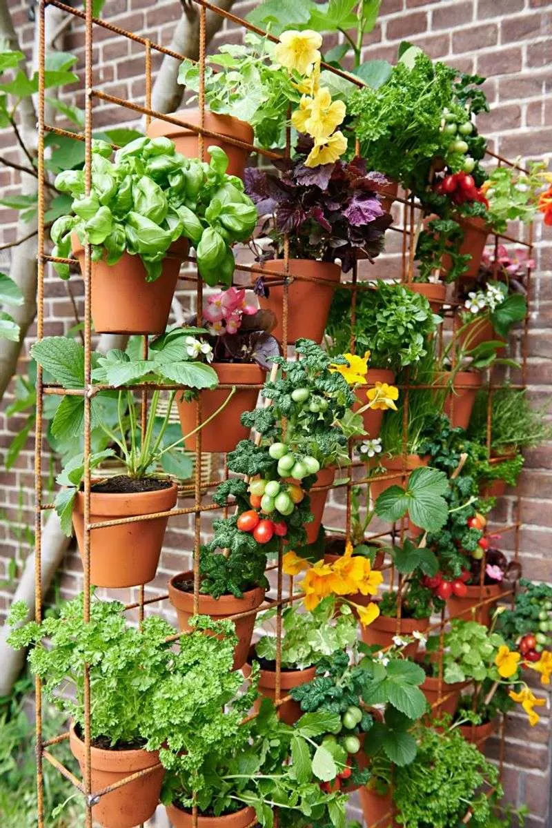 Edible Eden