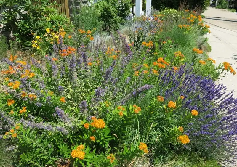 Pollinator Gardens