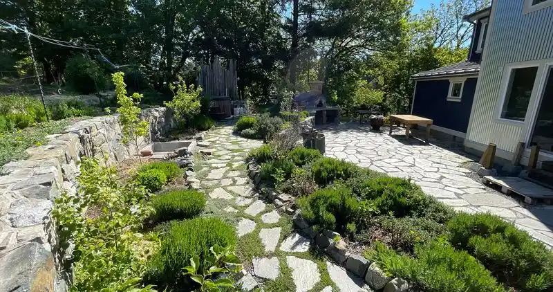 Edible Landscaping