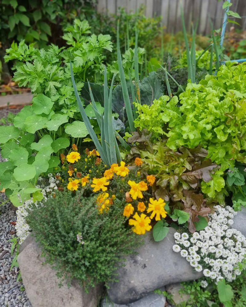 Edible Ornamentals