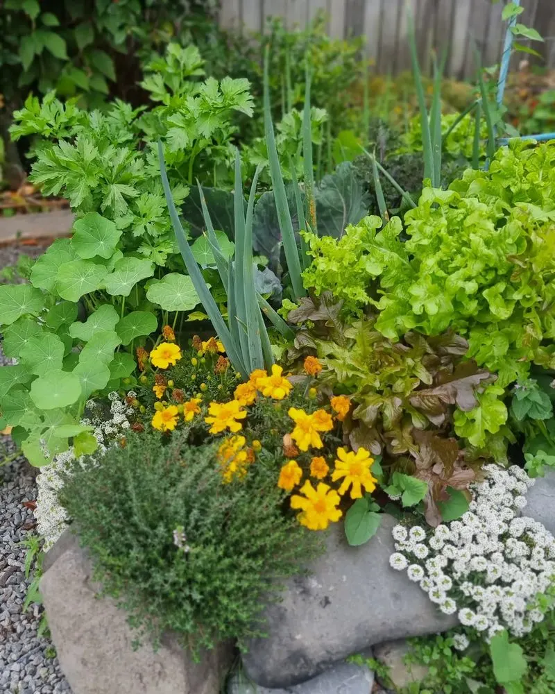 Edible Ornamentals